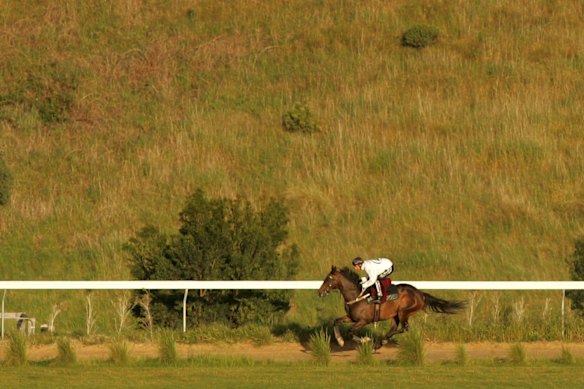 Makybe Diva and jockey Glen Boss at Lee Freedman’s Rye training property.