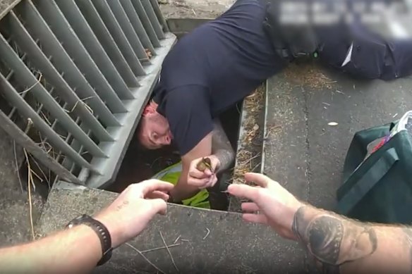 Queensland police conduct the unusual rescue mission in Spring Hill.