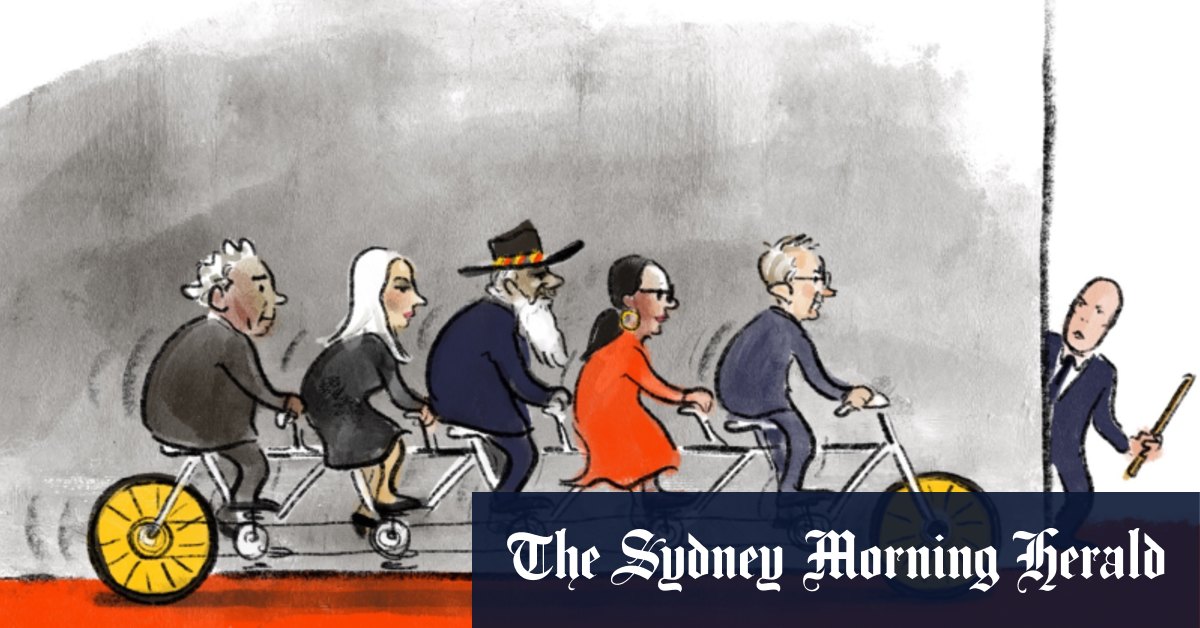 The latest illustrations from artist Cathy Wilcox