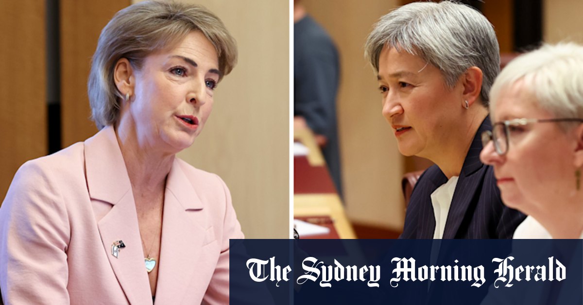 Penny Wong, Michaelia Cash clash over return of women and children