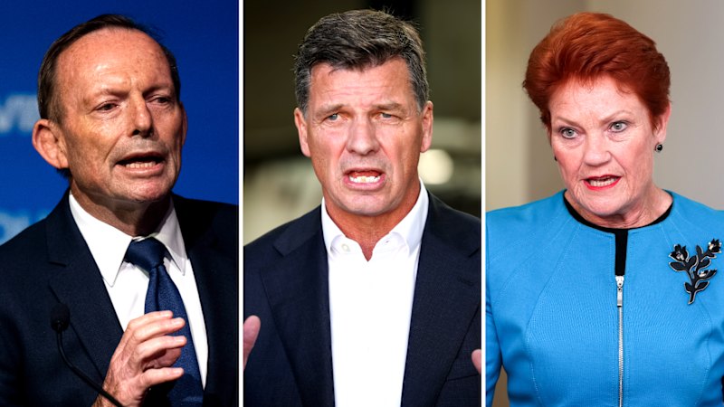 One Nation polling sparks Anthony Albanese statement on immigration; Iran ceases missile attack on Israel; Xi Jinping, Kim Jong-un to meet in North Korea