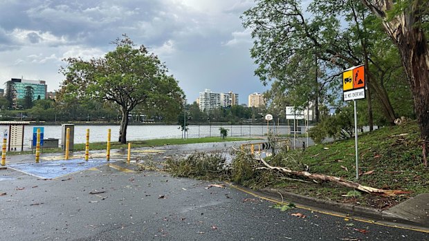 Fallen branches at Riverside Drive in West End.