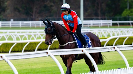 Everest favourite Ka Ying Rising on the track at Canterbury Park on Tuesday morning.