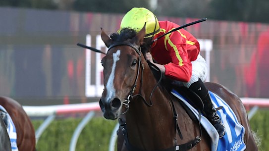 A seven-race meet is on at Kensington.