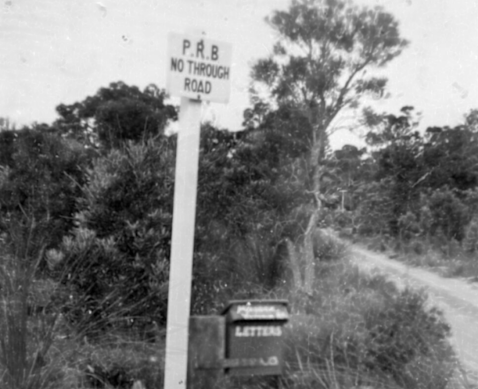 A view from a property in Balga, which was mostly bushland in the 1970s.