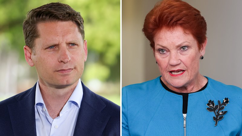Liberal MP labels Pauline Hanson “MAGA first” over Donald Trump support