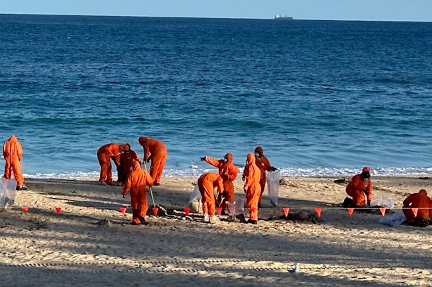  Clean-up of mysterious black balls that washed up onto Coogee Beach in October 2024.