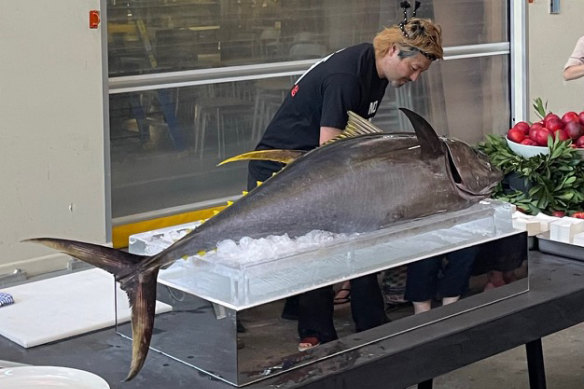 A whole yellowfin tuna was consumed at Powerhouse Museum’s 2024 Christmas celebration.