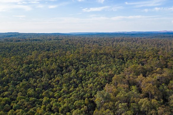 Alcoa has significantly increased its no-mining zone around Dwellingup.