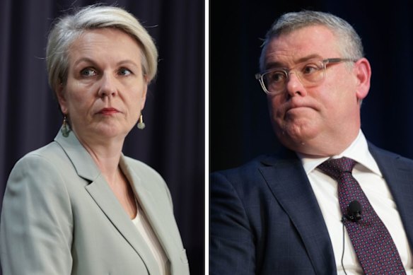 Environment Minister Murray Watt said earlier this month that the “nature positive” branding of his predecessor Tanya Plibersek had to be ditched.