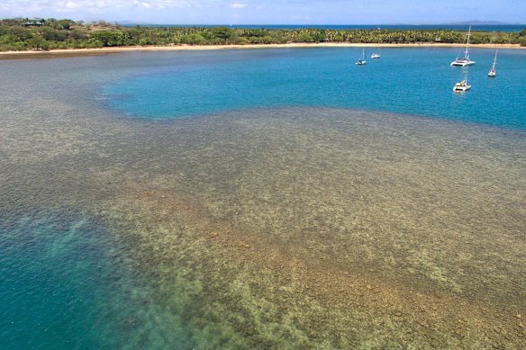 Locals are vehemently opposed to a waste-to-energy plant near Saweni Beach.