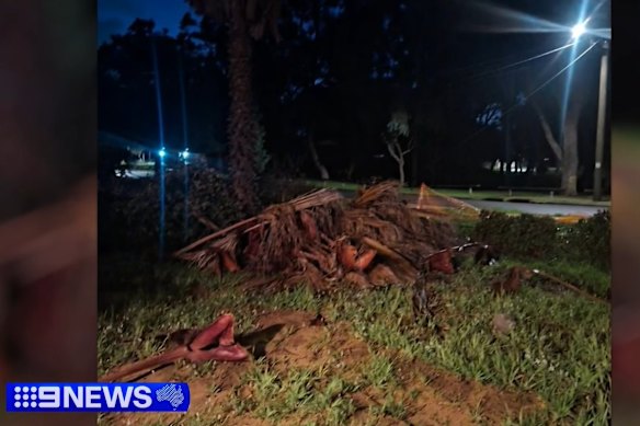 Some of the damage outside the White residence. 