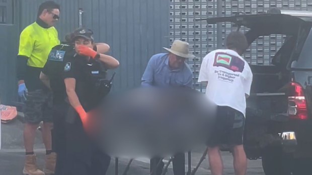 Arnie was found in the back of his owners’ ute in Fortitude Valley.