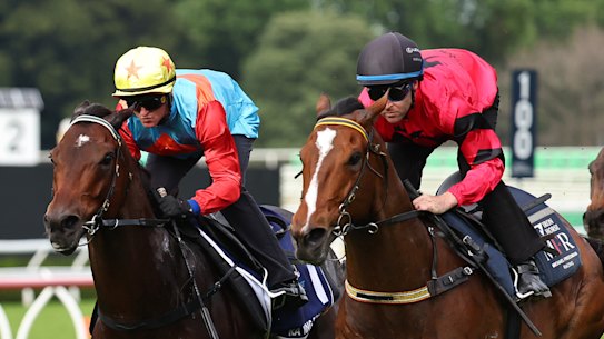 Ka Ying Rising (left) is edged out by Ninja in a recent trial. Punters shouldn’t pay too much attention to that result.