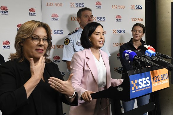 NSW Deputy Premier Prue Car speaks to the media earlier this week.