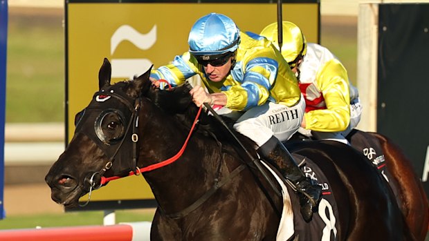 Christian Reith has a number of good chances at Muswellbrook on Tuesday.