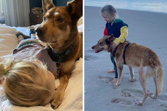 Clancy looking after Pip.