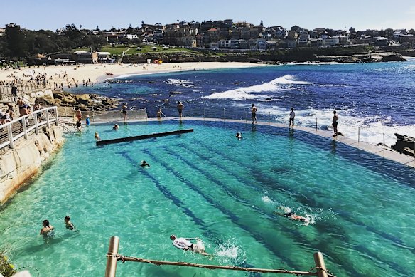 “Meet me at Bronte ocean pool?” Who could say no to that? asks Zan Rowe, “There is so much life in it every day.”