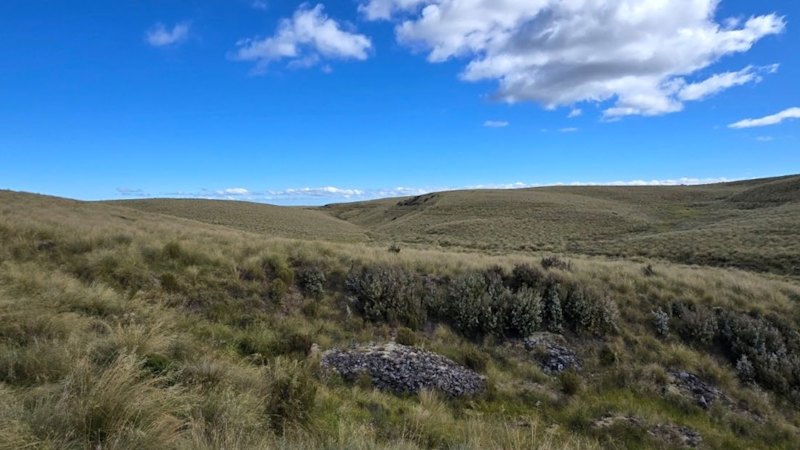 Critical latches onto soaring tungsten prices to drive NZ exploration push