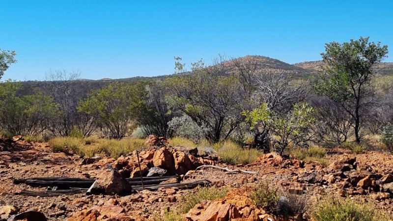 Litchfield survey lights up big NT copper-zinc targets