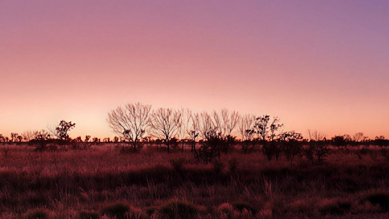 Litchfield jags rich silver hit as NT drill campaign wraps up