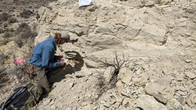 Chariot reclaims highly prospective US lithium ground