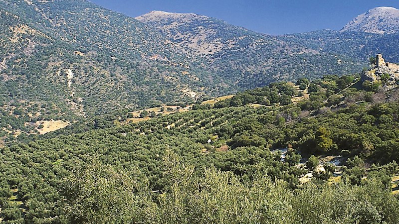 Osmond lands more standout Spanish titanium and rare earths hits