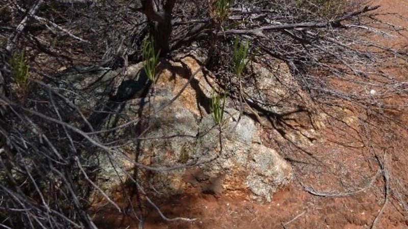 Venus maps out multi-million-tonne zinc-indium prize in WA