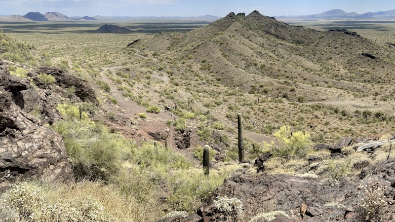 Old Mexican core samples spark new bulk silver play for Advance