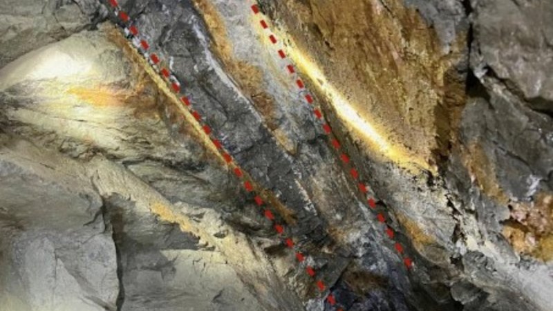 Aguia appoints new CEO to take charge of phosphate, gold resources