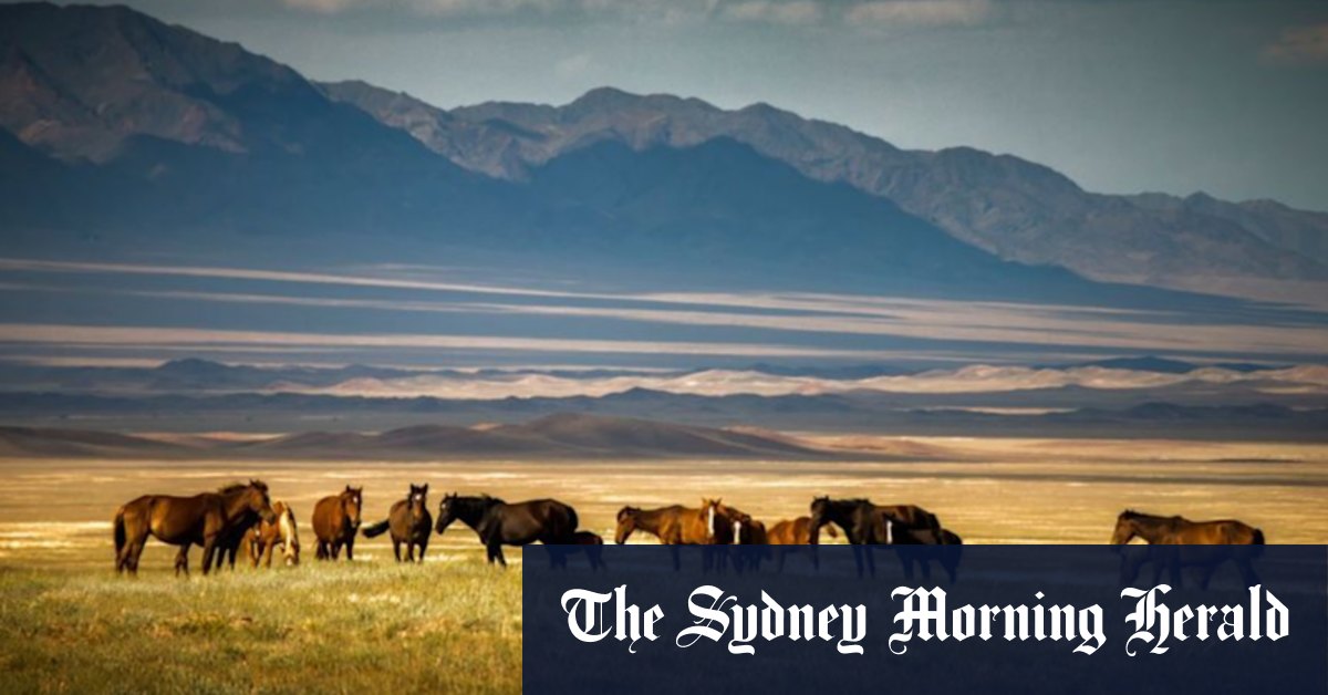 Sarytogan awards key DFS contracts for Kazakh graphite project