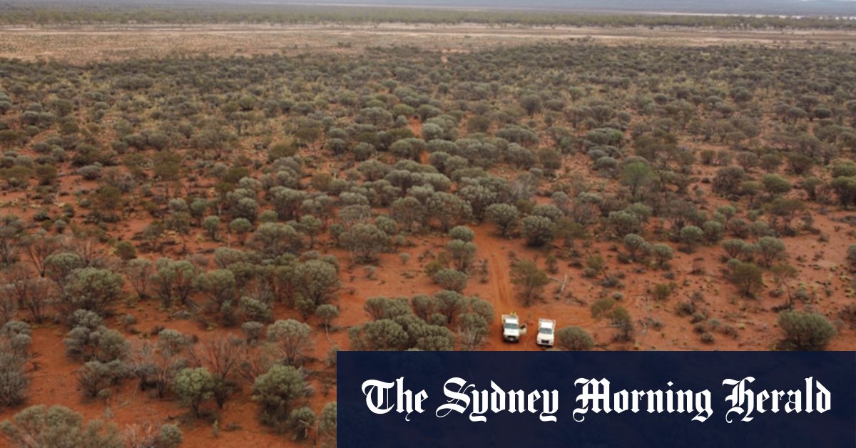 Gateway to fly big airborne geophysical survey in new WA gold hunt