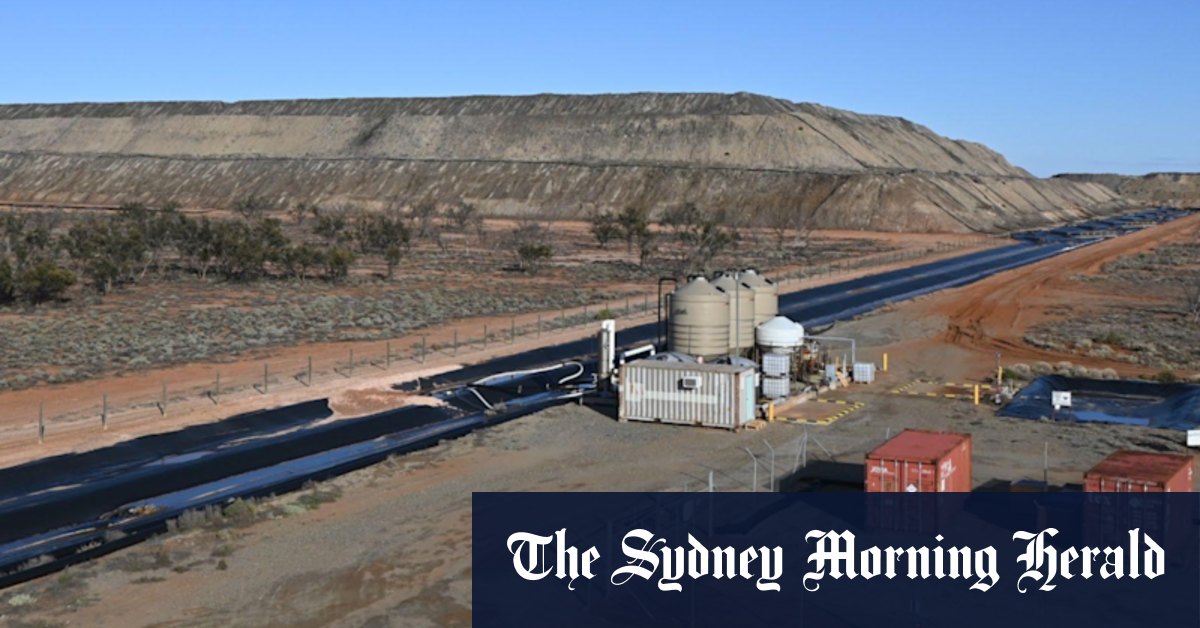 Pacgold snaps up SA gold mine to boost near-term cashflow