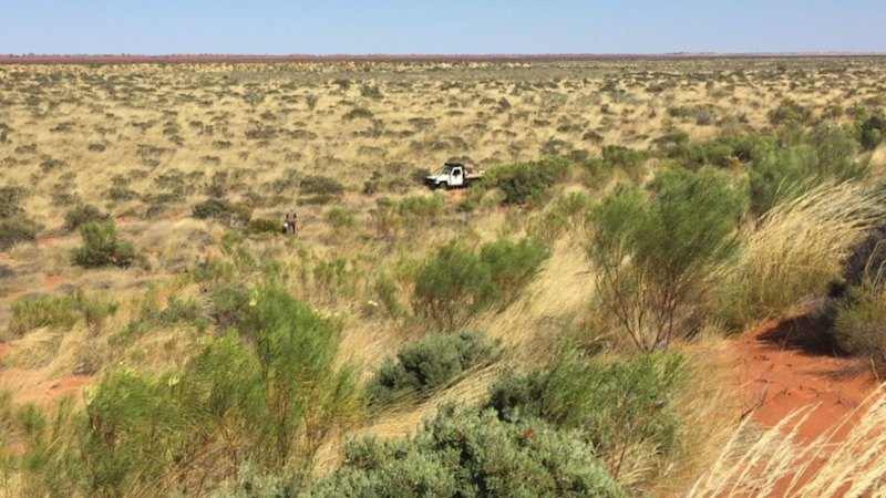 West Wits cashes WA gold project, keeps upside play