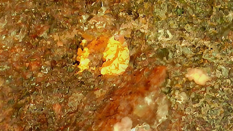 Augustus gets WA heritage green light for first gold drill program