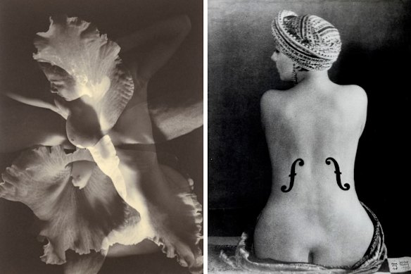 From left, Max Dupain’s The Debussy Quartet in G, 1937, and Man Ray’s Le violon d’Ingres, 1924.