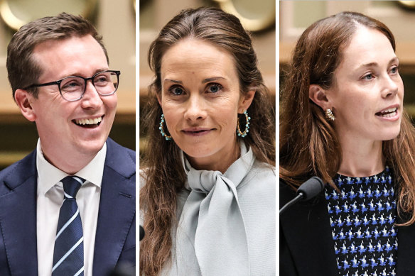 The three newest MPs to join NSW parliament, James Wallace, Jacqui Scruby and Monica Tudehope, all spoke out against gambling in the state.