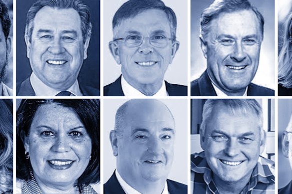 (Clockwise from top left) Former state party figures Mark Robinson, Ian Walker, Denver Beanland, Lachlan Millar and Michael Hart, and former senator Joanna Lindgren, are now serving on government-appointed boards.
