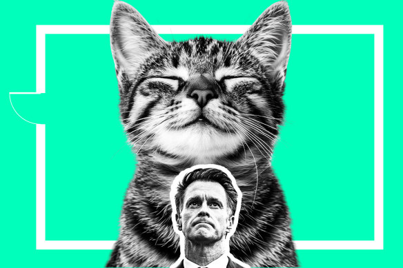Premier Chris Minns unilaterally changed rental reforms to make it easier for landlords to prevent pets in rental properties.