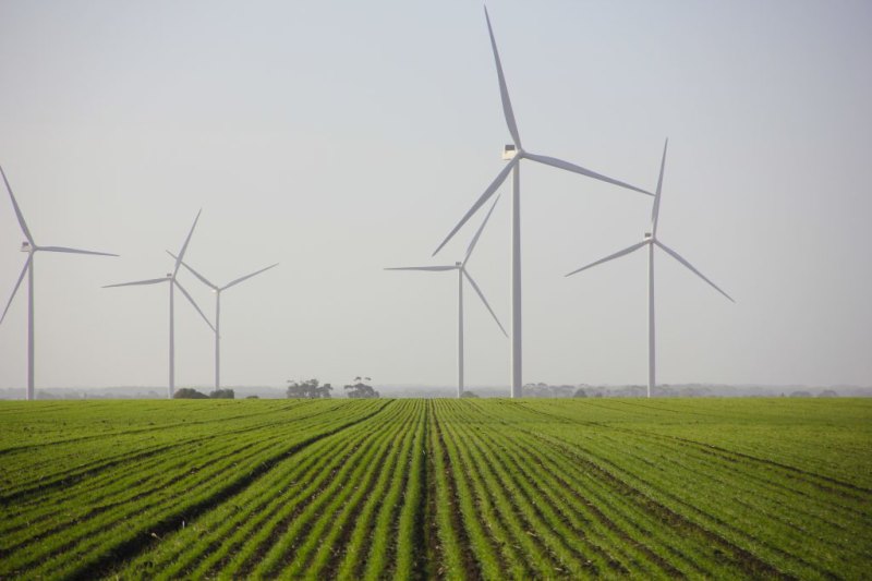 Development of renewable assets – including wind, solar, battery – is surging.