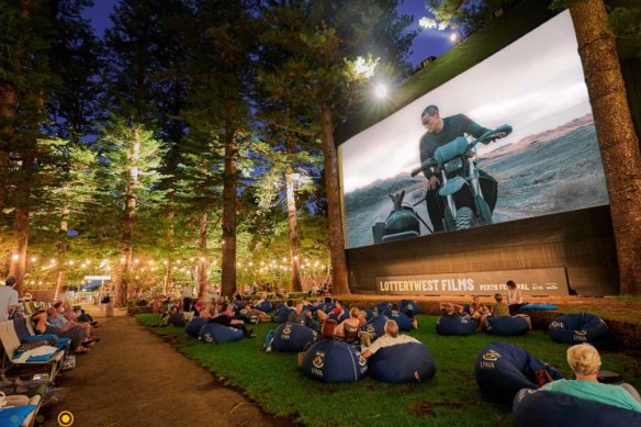 Somerville Auditorium has been closed as arborists look at the tree.