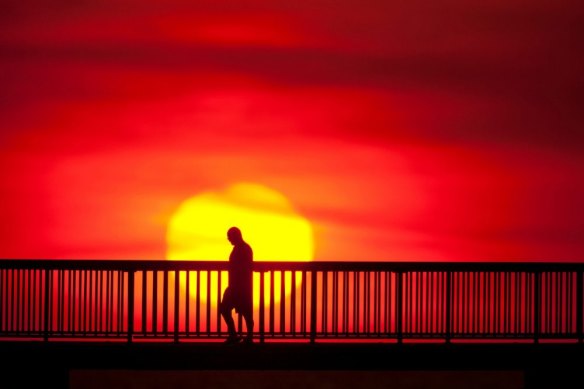 The past three years have been the hottest years on record globally.