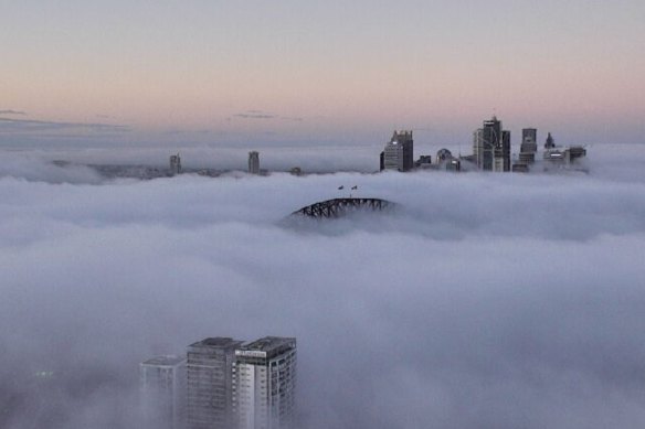 Fog blankets the Sydney CBD on Tuesday morning.
