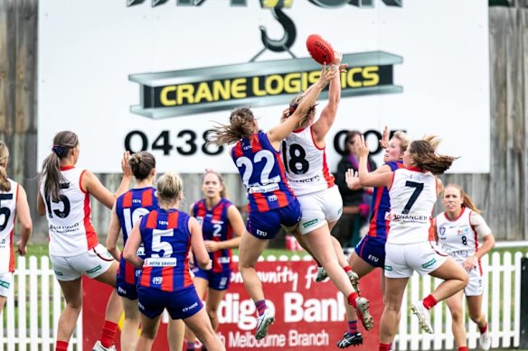 Major Crane Logistics sponsorship board at the Port Melbourne ground in 2021.