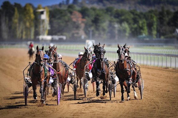 Two top harness racing officials are suing News Corp over a series of articles about a drug scandal. None of those pictured are involved in the saga.