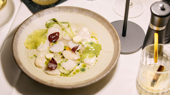 Raw scallops with coconut dressing, kaffir lime-pickled turnip and chilli oil.