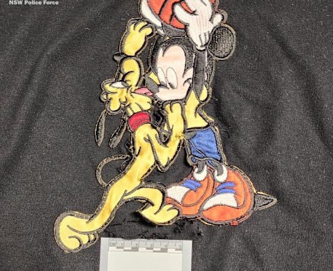 The alleged cheating plot unravelled when a casino employee spotted a discreet camera embedded in the woman’s shirt.