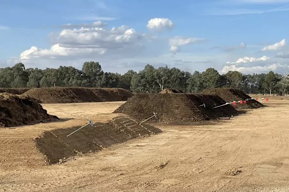 Pits were dug at a research farm in Victoria to test how dead cattle may be disposed of. 