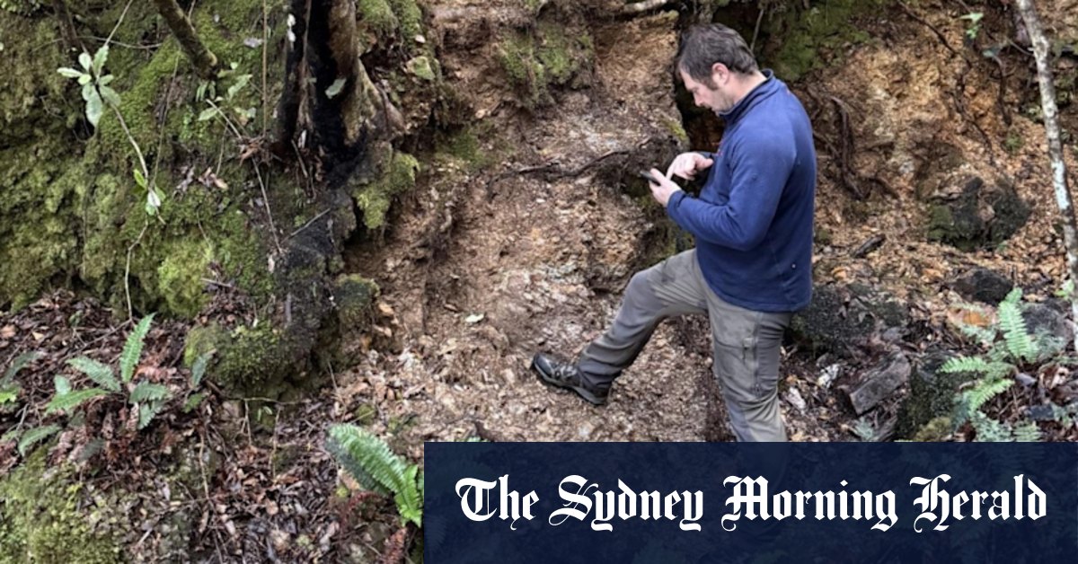 Historic Kiwi project yields high-grade gold, antimony for Siren