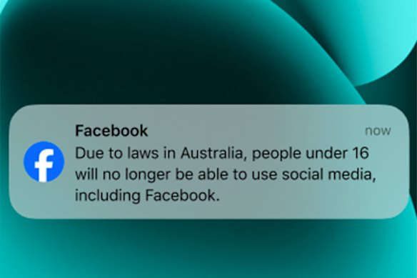 An example message from Meta when the ban comes into force on December 10.